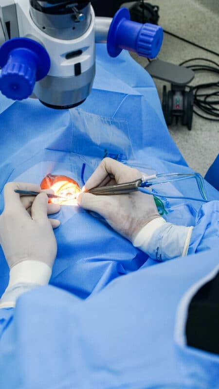 Cirurgia de catarata e impliante de lentes intraoculares